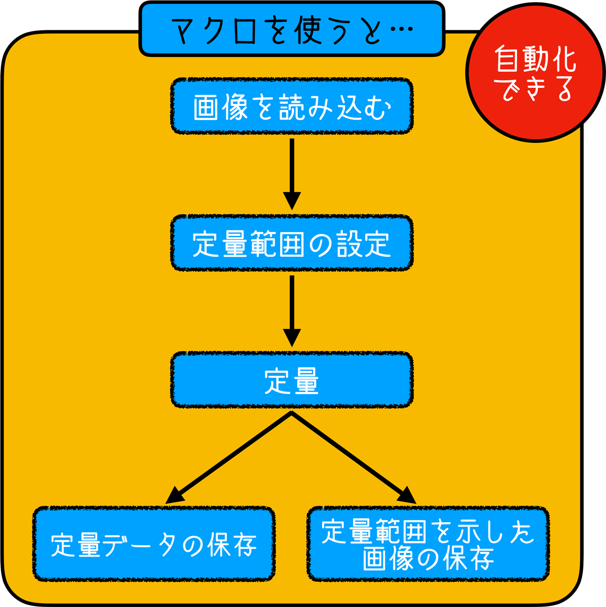 初心者 画像解析で楽しよう 大学院生がすすめるimagejでのマクロ 自動化 の組み方 Gorori ゴロ理 の雑記ブログ